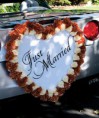 /album/vyzdoba-auta/wedding-decorations-for-cars-jpg/